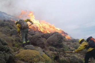 Emergencia Ígnea: Santa Cruz se Une a Provincias Afectadas