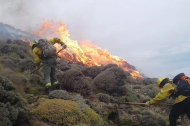 Emergencia Ígnea: Santa Cruz se Une a Provincias Afectadas