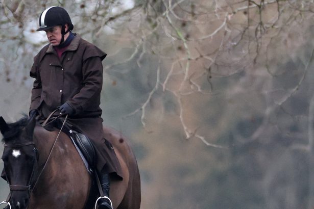 El escándalo Epstein: ¿Cómo afecta a la monarquía británica?