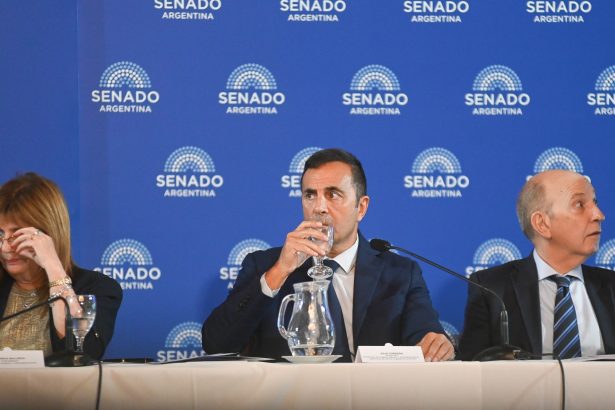 Provincias exigen al Gobierno convocar urgentemente el Consejo Federal del Trabajo