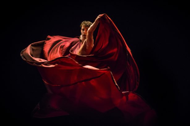 Ana María Stekelman y Julio Bocca: Reviviendo la Magia del Ballet