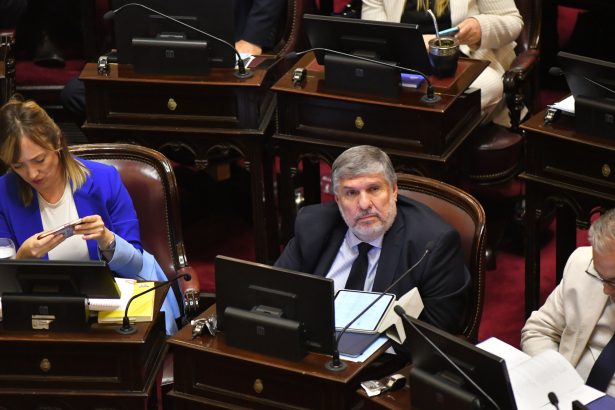 Senadores del PJ: ¿Se separarán del bloque kirchnerista en el Senado?