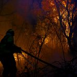 Patagonia en llamas: ¿una tragedia ambiental inminente?