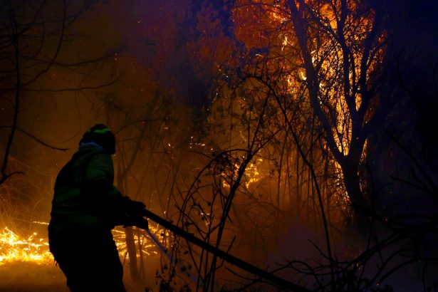 Patagonia en llamas: ¿una tragedia ambiental inminente?