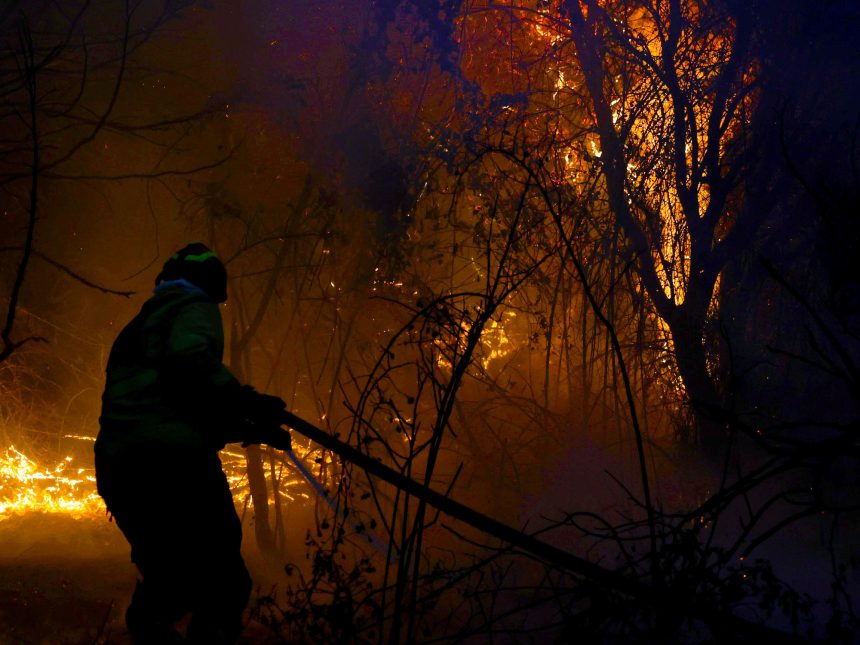 Patagonia en llamas: ¿una tragedia ambiental inminente?