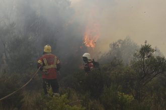 Chubut: Nuevos focos de incendio amenazan el Parque Nacional Los Alerces