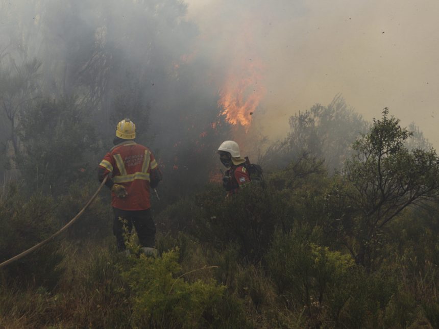 Chubut: Nuevos focos de incendio amenazan el Parque Nacional Los Alerces