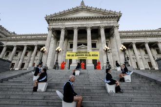 Detenidos en el Congreso: 12 activistas de Greenpeace liberados