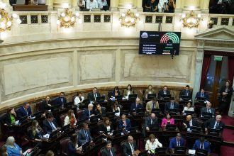 Senadores y la Ley Penal Juvenil: Votaciones sobre la Imputabilidad