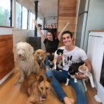 Escapa de la rutina: pareja viaja en motorhome con sus mascotas