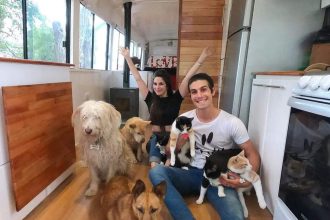 Escapa de la rutina: pareja viaja en motorhome con sus mascotas