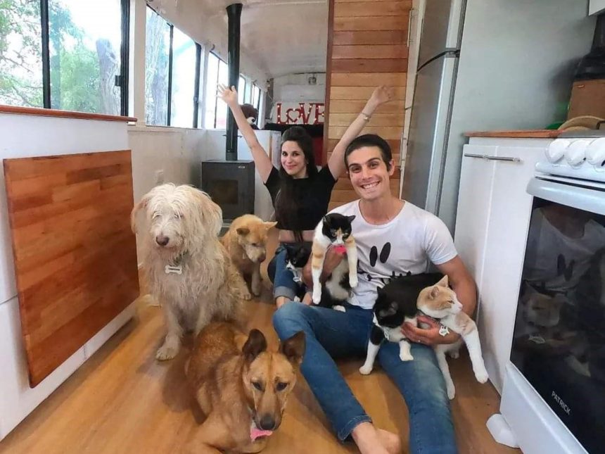 Escapa de la rutina: pareja viaja en motorhome con sus mascotas