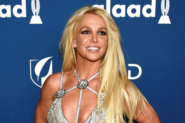 Britney Spears Arrestada en California: Descubre los Motivos Impactantes