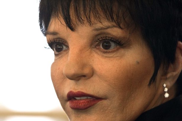 Liza Minnelli: 80 años de éxitos, desafíos y legado inolvidable