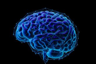 Descubren la sorprendente causa del deterioro de la memoria con la edad