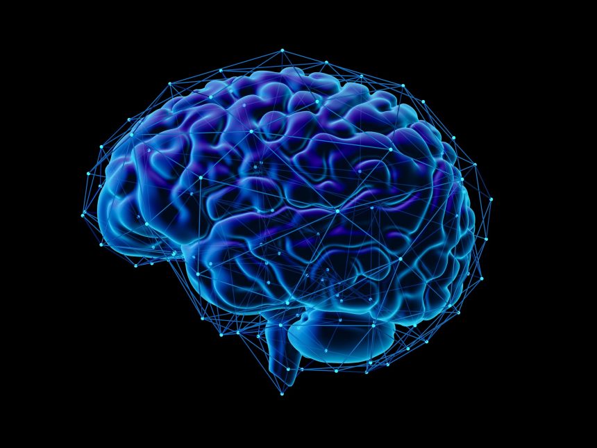 Descubren la sorprendente causa del deterioro de la memoria con la edad