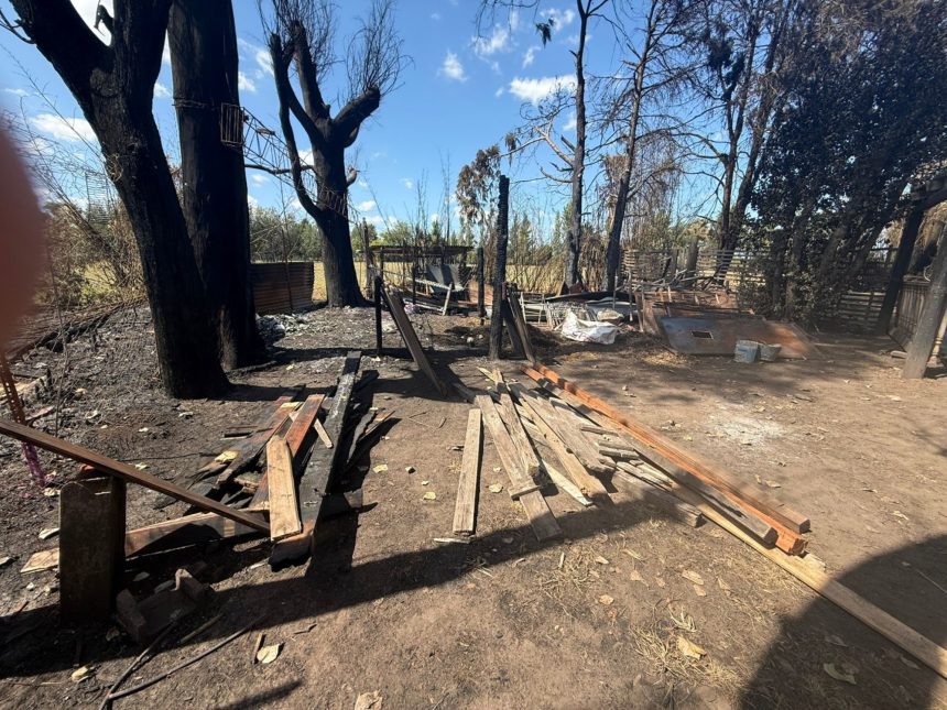 Rescatan a jóvenes víctimas de explotación en hogar de Florencio Varela