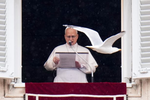 El Papa condena la guerra en Medio Oriente: un escándalo humano