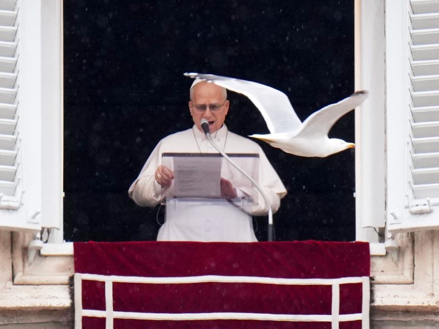 El Papa condena la guerra en Medio Oriente: un escándalo humano