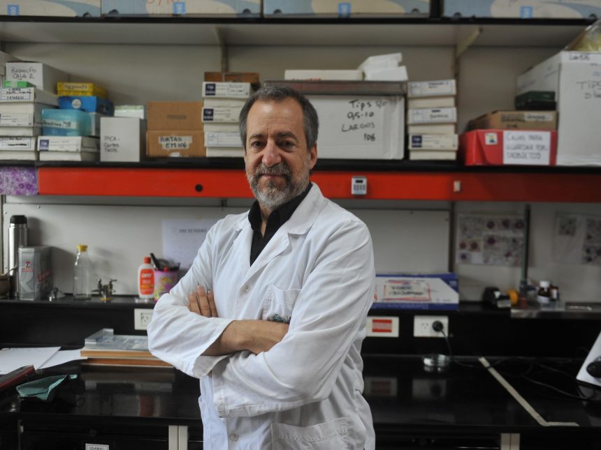 Revolución en la lucha contra el Parkinson: Startup argentina de células madre