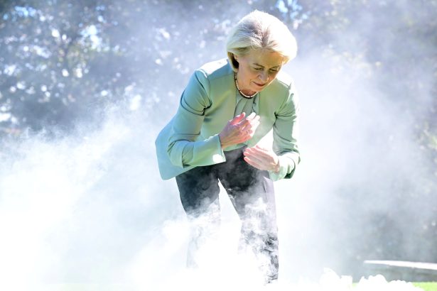 Mercosur y UE: Acuerdo Provisional Arranca en Mayo 2024