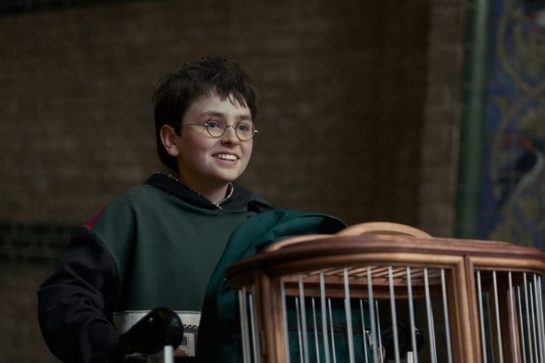 Descubre ‘En busca de Harry’: El arte mágico de la nueva serie