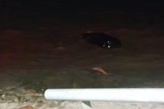 Camioneta descontrolada se hunde en el Río de la Plata: ¡Heroico rescate!