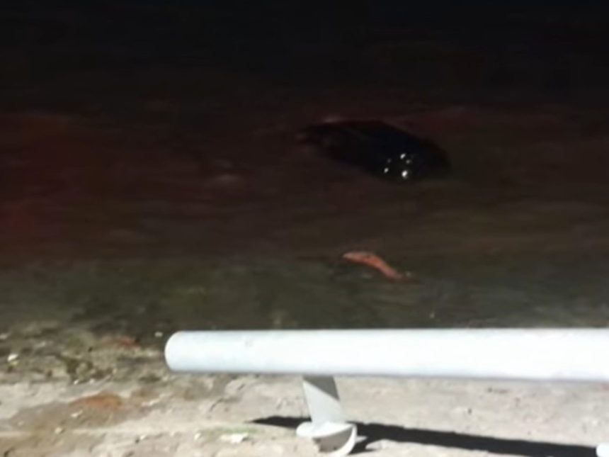 Camioneta descontrolada se hunde en el Río de la Plata: ¡Heroico rescate!