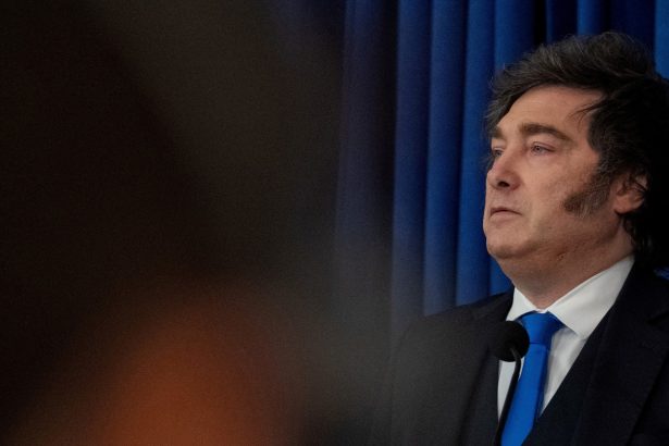 Milei Reinventa su Estrategia: Nuevas Tácticas para Defender su Gobierno