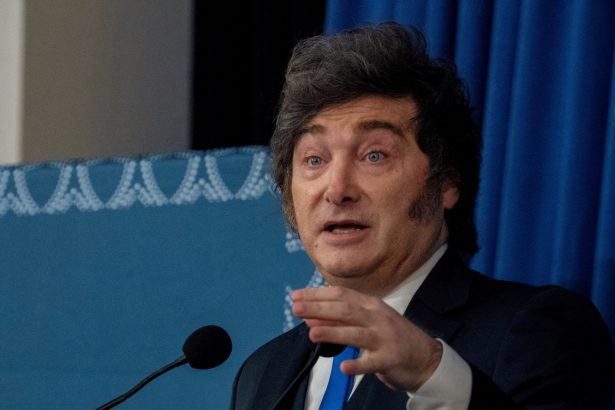 Milei reconoce dificultades económicas y critica al periodismo: ¡Paciencia!