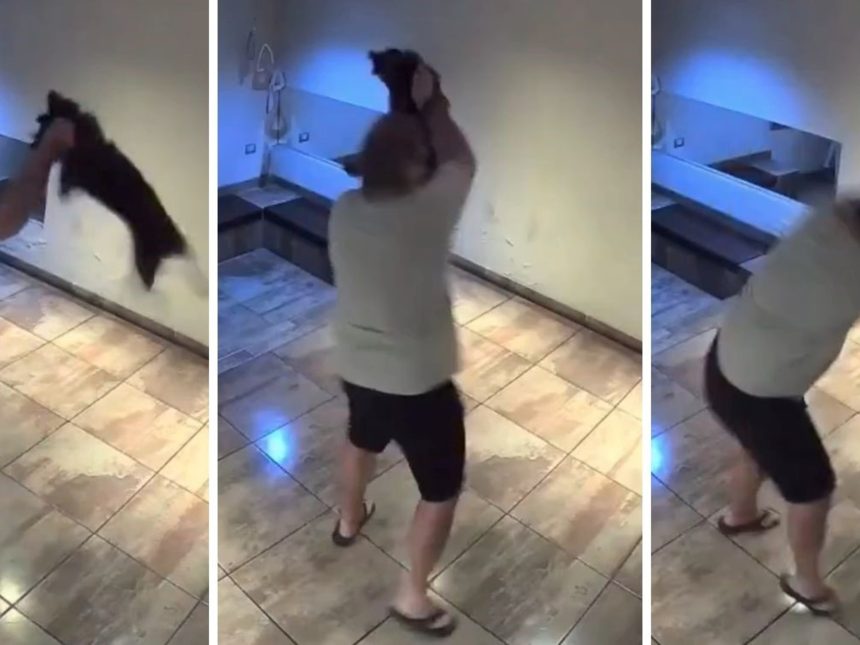 Impactante maltrato animal en Palermo: perrito agredido brutalmente