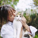 Descubre la historia de Sara: cómo un gato robó mi corazón