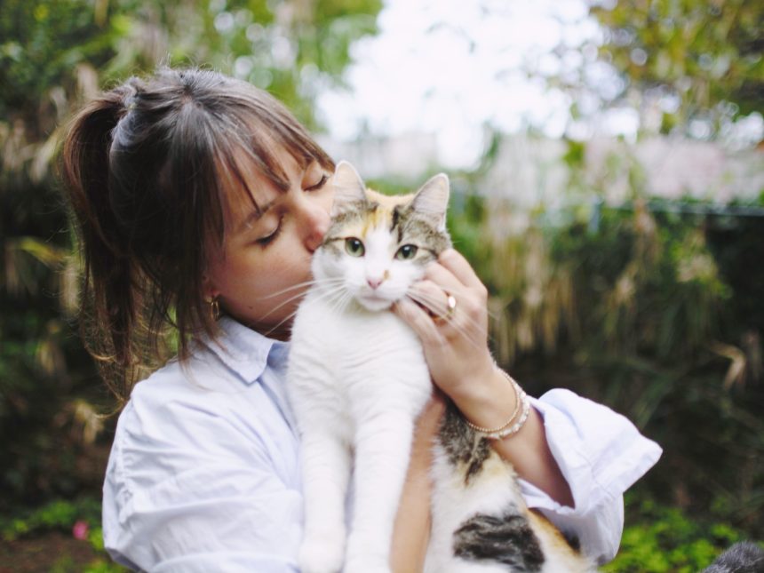 Descubre la historia de Sara: cómo un gato robó mi corazón