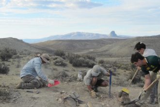 Descubren en Chubut un asombroso dinosaurio de 160 millones de años