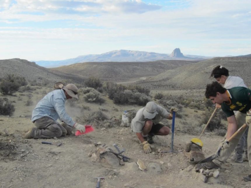 Descubren en Chubut un asombroso dinosaurio de 160 millones de años