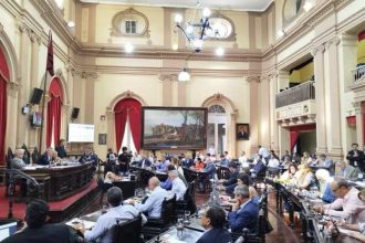 Reforma Electoral en Salta: La Cámara de Diputados Avanza con Media Sanción