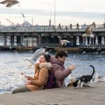 Descubre las 10 series turcas en Netflix que arrasan en 2023