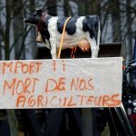 Mercosur-UE: Desafíos y Oportunidades en Europa tras el Acuerdo