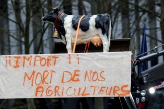Mercosur-UE: Desafíos y Oportunidades en Europa tras el Acuerdo