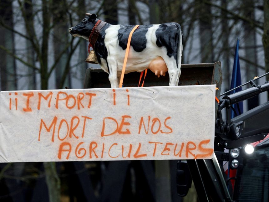 Mercosur-UE: Desafíos y Oportunidades en Europa tras el Acuerdo