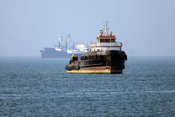 Irán establece agencia para controlar transporte en el estrecho de Ormuz