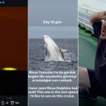 Descubre el Crucero del Hantavirus: Naturaleza y Gimnasia en Canarias