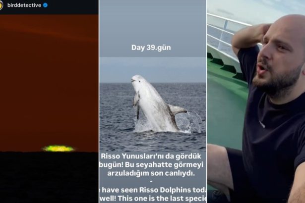 Descubre el Crucero del Hantavirus: Naturaleza y Gimnasia en Canarias
