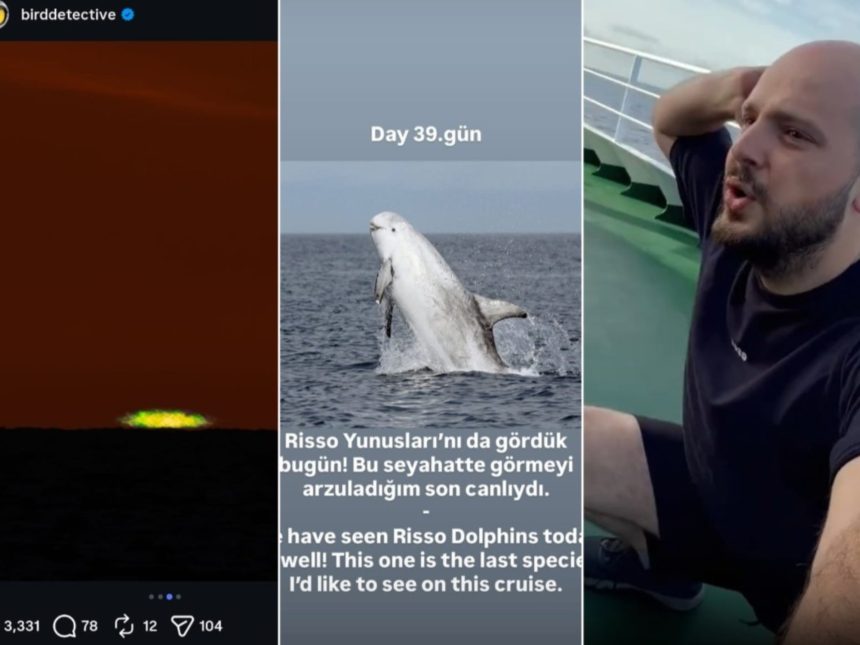 Descubre el Crucero del Hantavirus: Naturaleza y Gimnasia en Canarias
