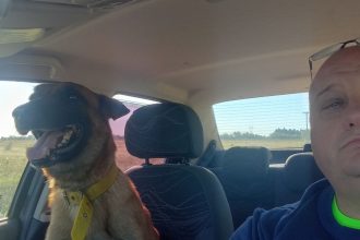 Emotivo reencuentro: Hombre y su perro perdido conmueven al mundo