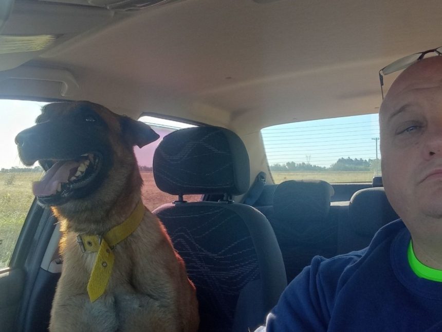 Emotivo reencuentro: Hombre y su perro perdido conmueven al mundo