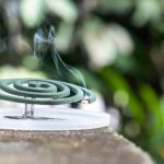 ANMAT Prohíbe Espirales y Tabletas para Mosquitos: ¡Descubre por qué!