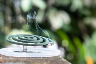 ANMAT Prohíbe Espirales y Tabletas para Mosquitos: ¡Descubre por qué!