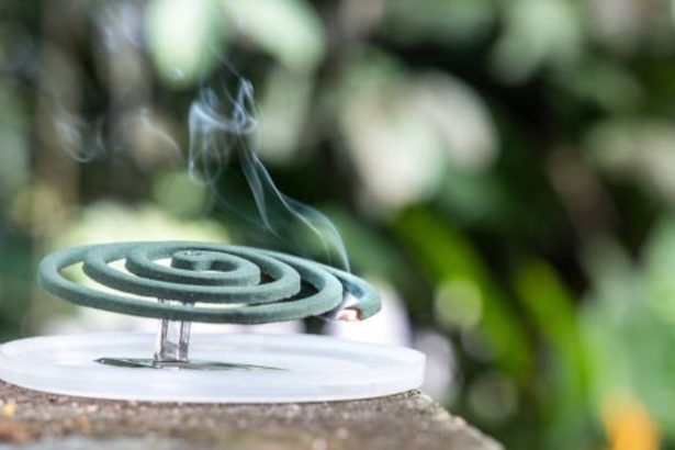 ANMAT Prohíbe Espirales y Tabletas para Mosquitos: ¡Descubre por qué!