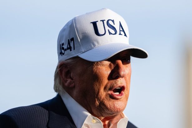 Trump: EE.UU. elimina a un alto líder de ISIS en Nigeria